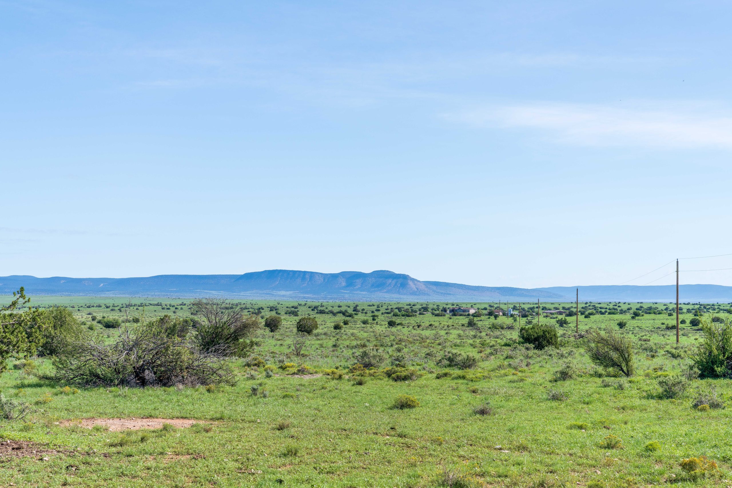 Leist Homestead, property photo 40