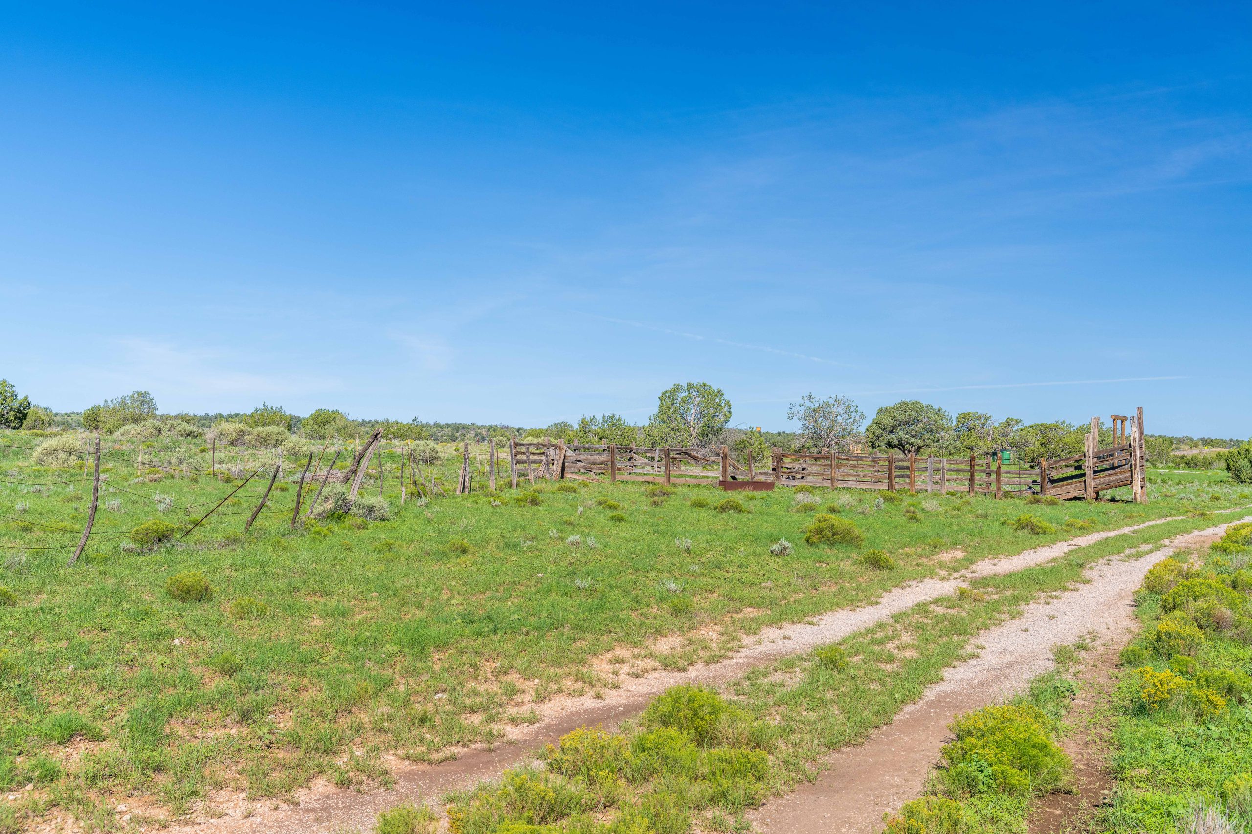 Leist Homestead, property photo 28