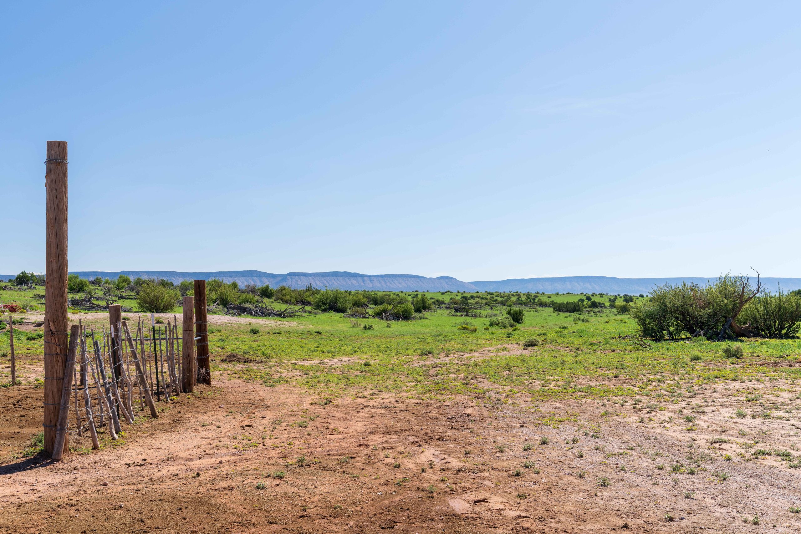 Leist Homestead, property photo 23