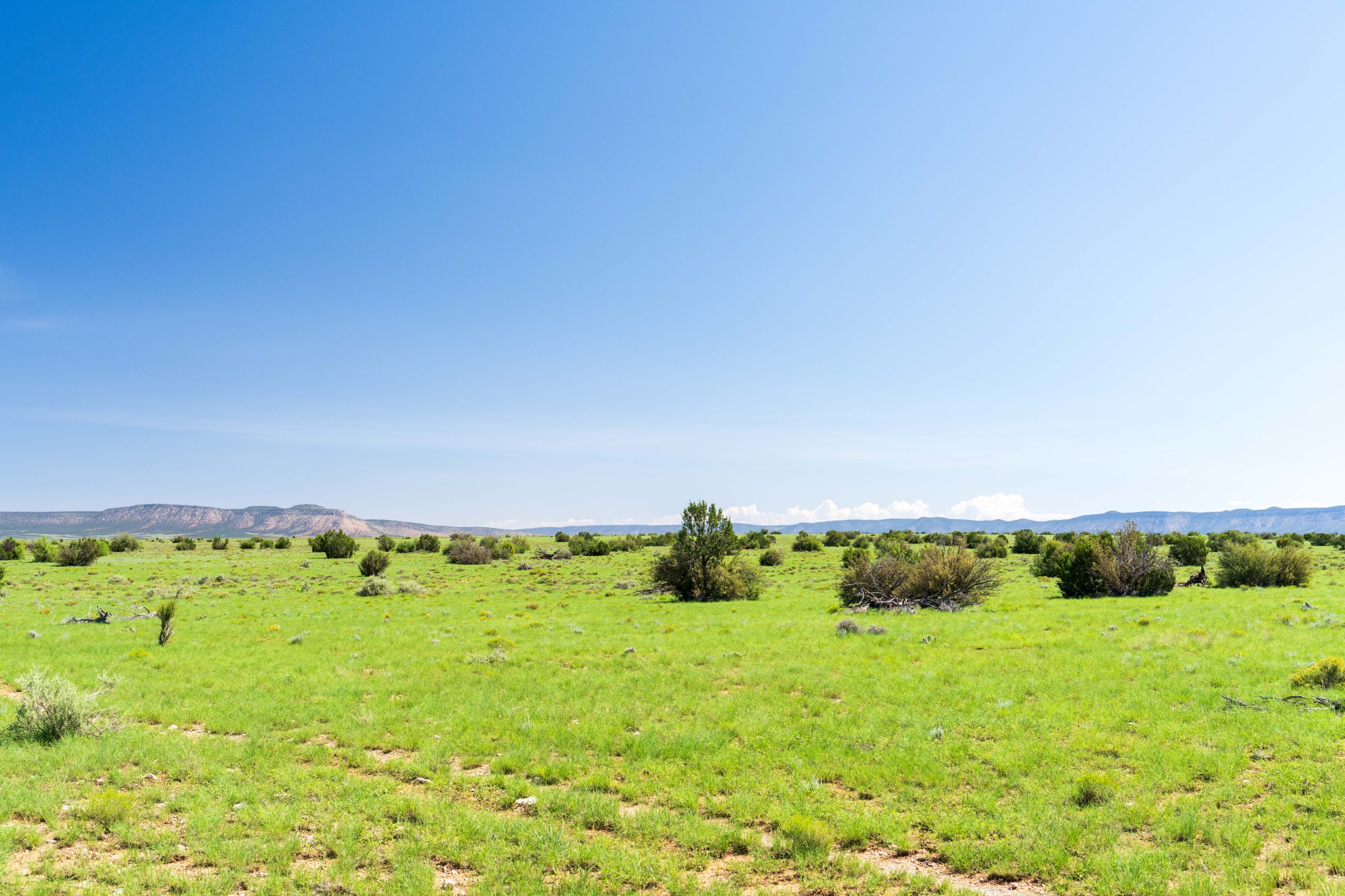 Leist Homestead, property photo 33