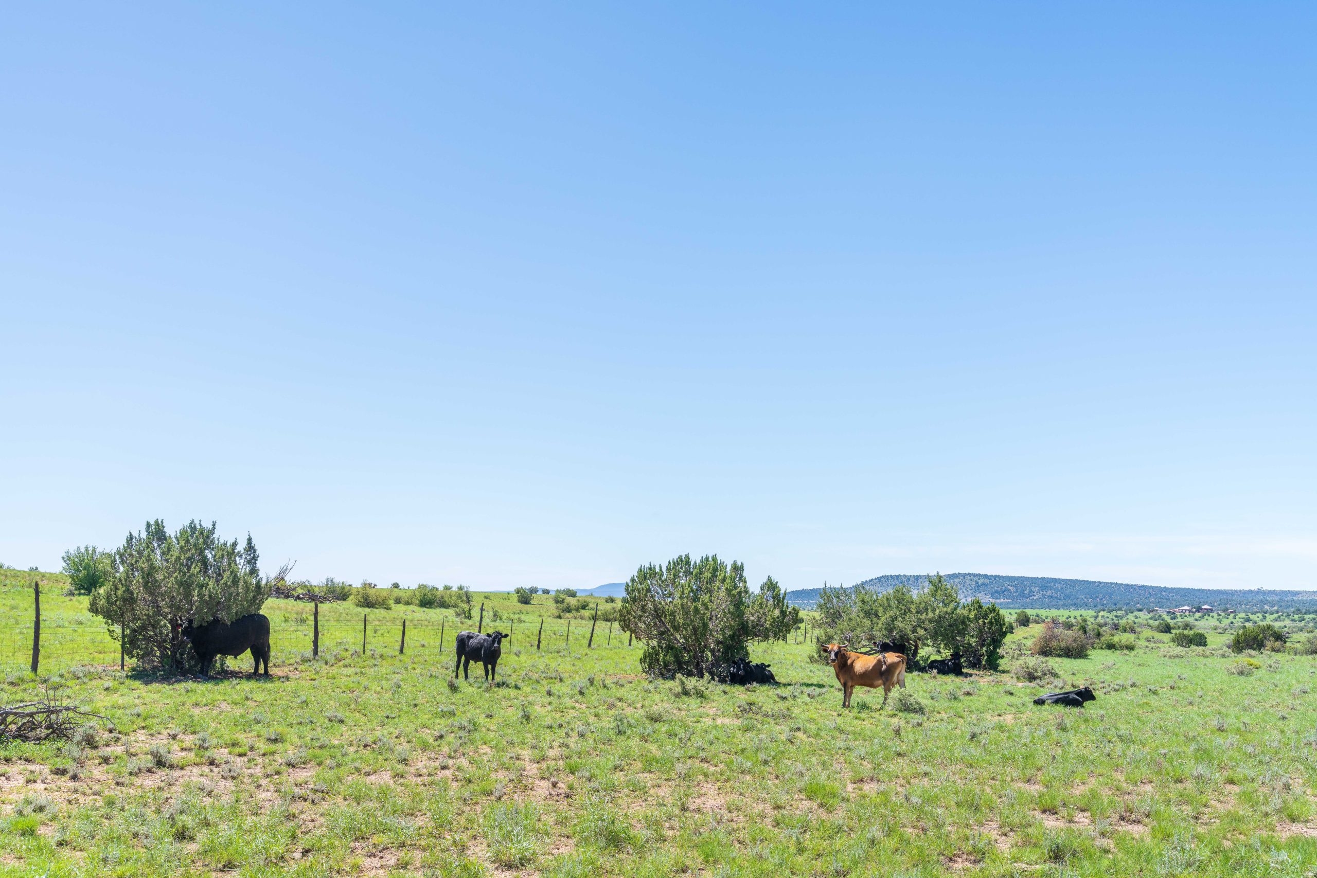 Leist Homestead, property photo 19