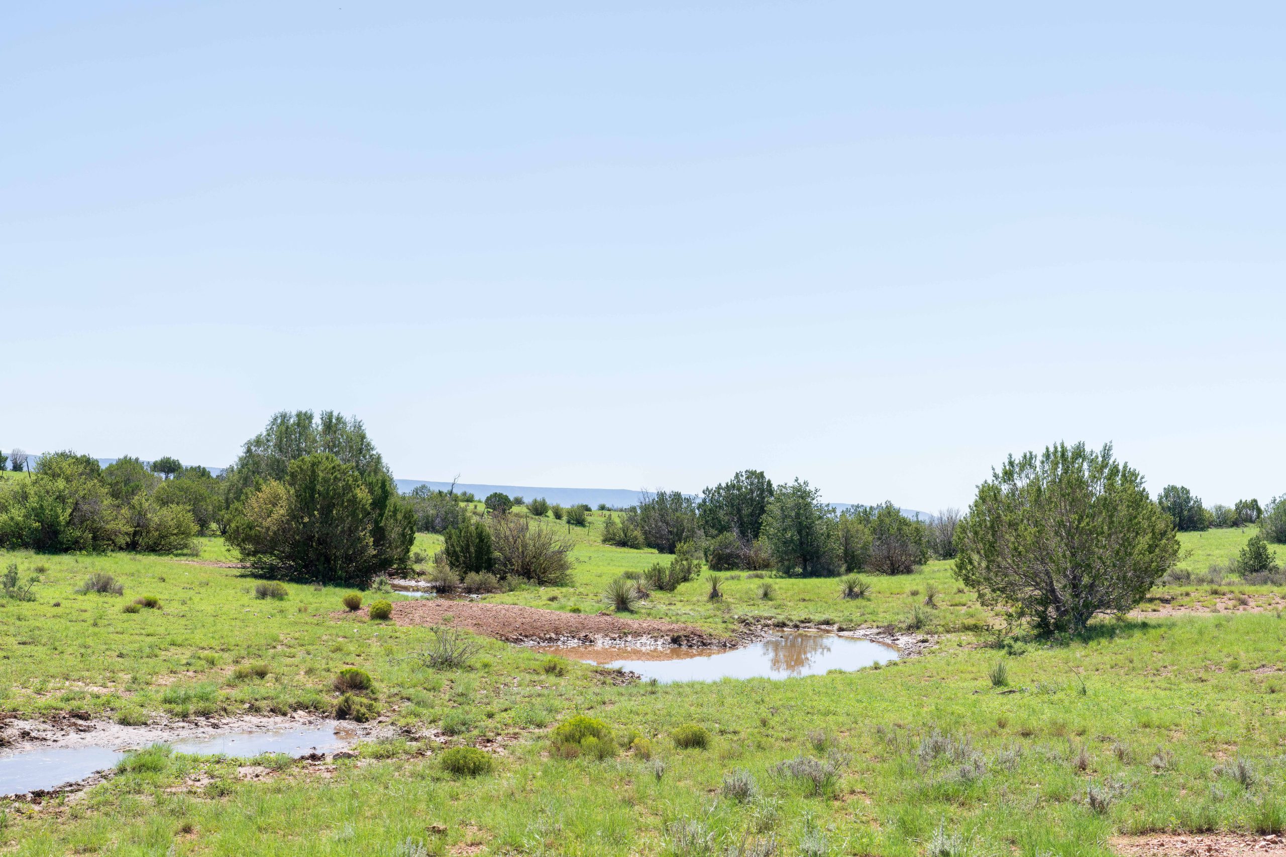Leist Homestead, property photo 5