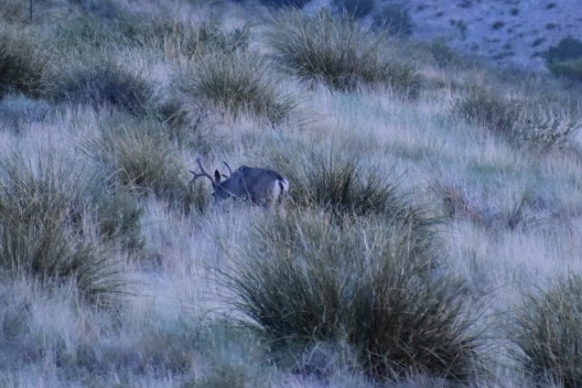 Mimbres River Farm and Ranch, property photo 24