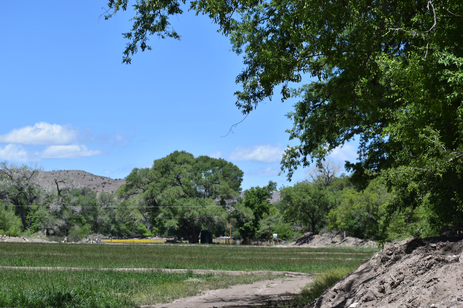 Mimbres River Farm and Ranch, property photo 29