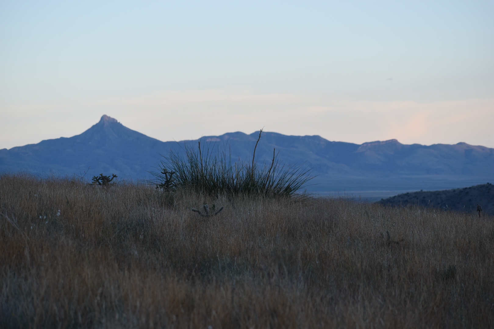 Mimbres River Farm and Ranch, property photo 8