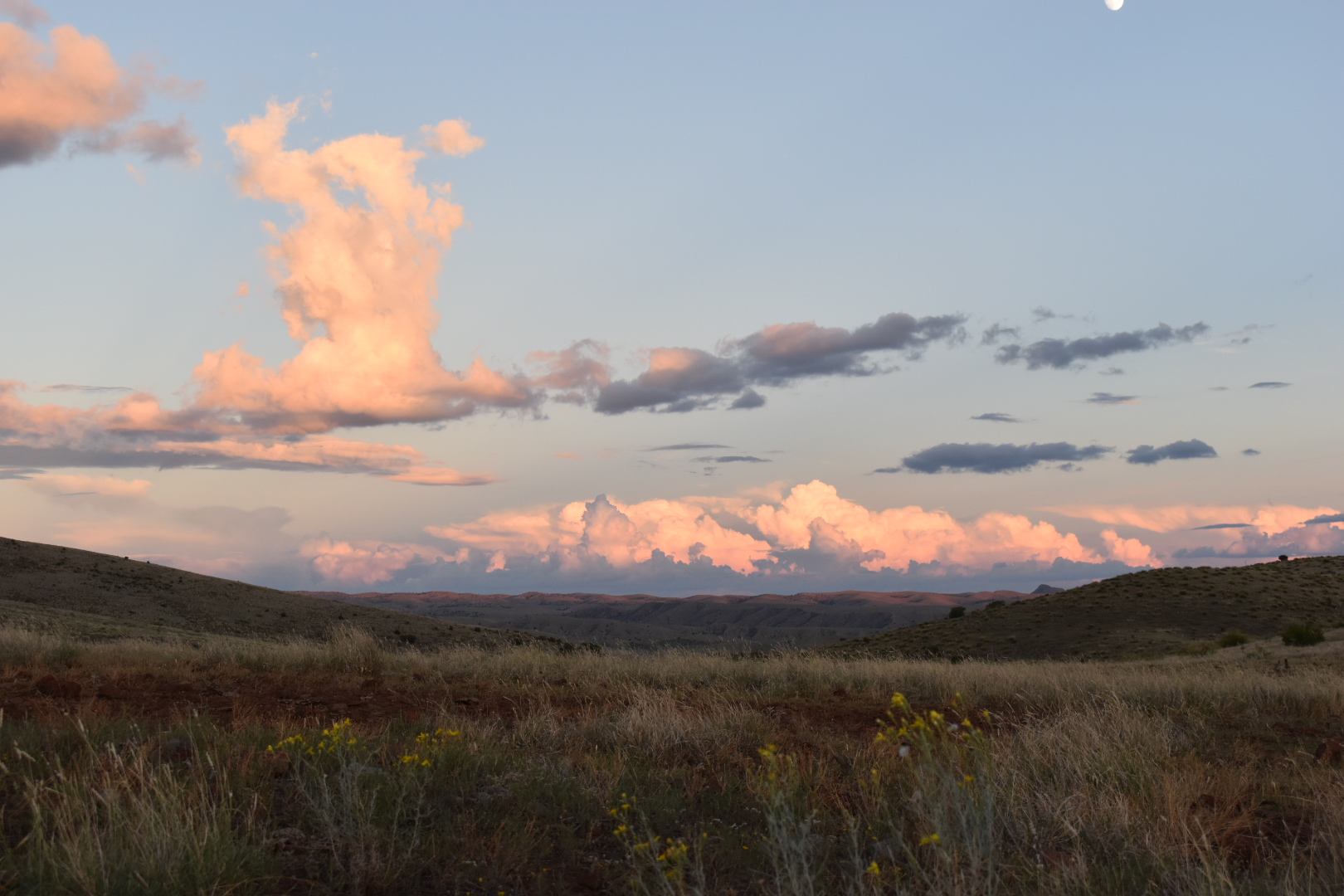 Mimbres River Farm and Ranch, property photo 31