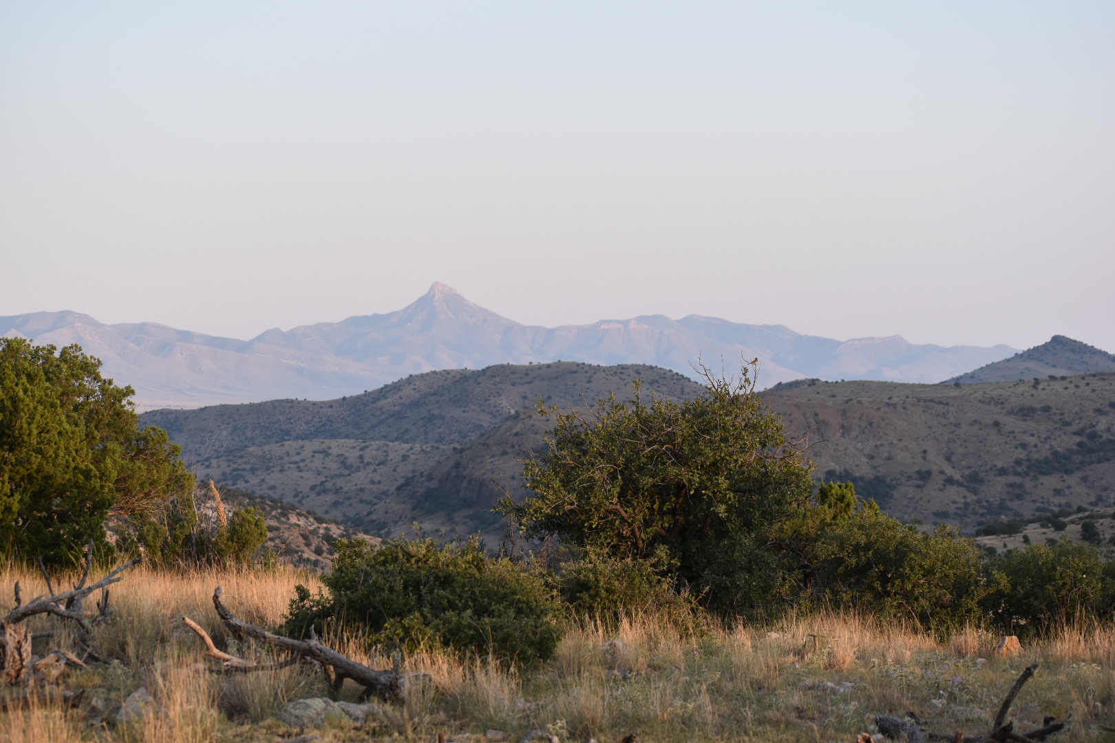 Mimbres River Farm and Ranch, property photo 36