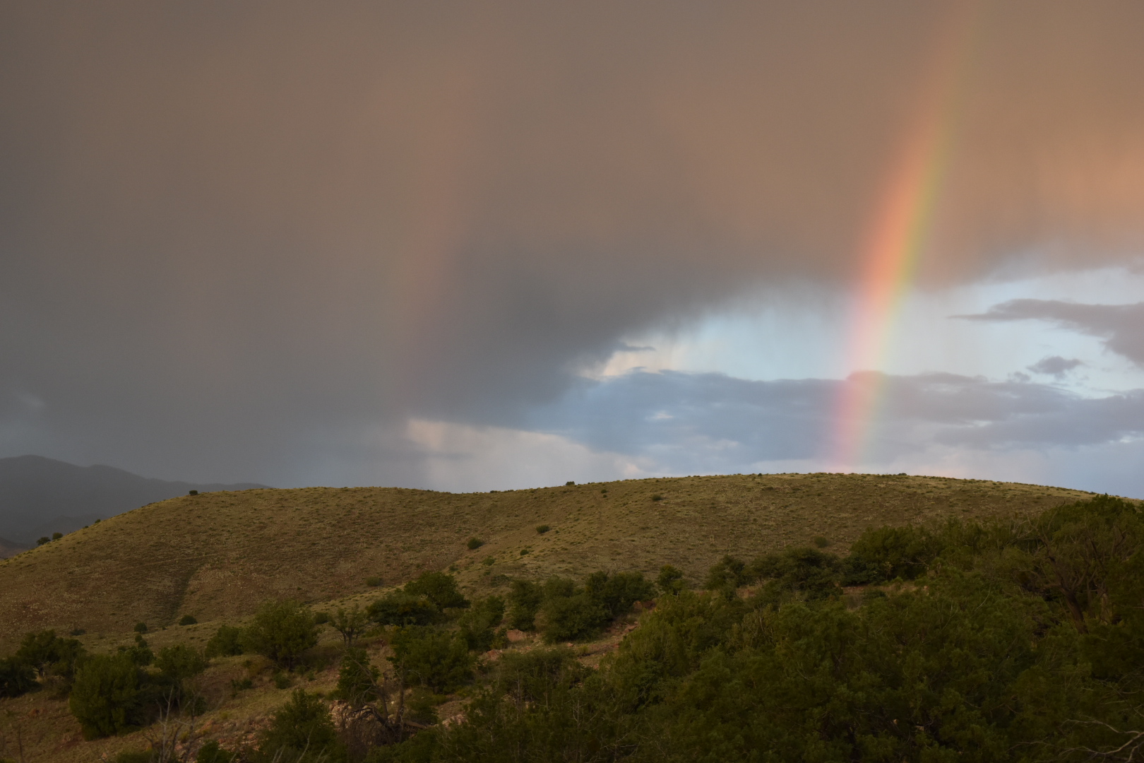 Mimbres River Farm and Ranch, property photo 20