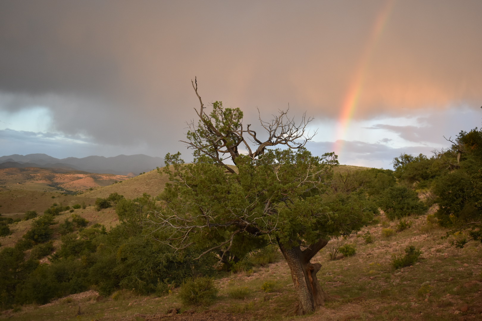 Mimbres River Farm and Ranch, property photo 21