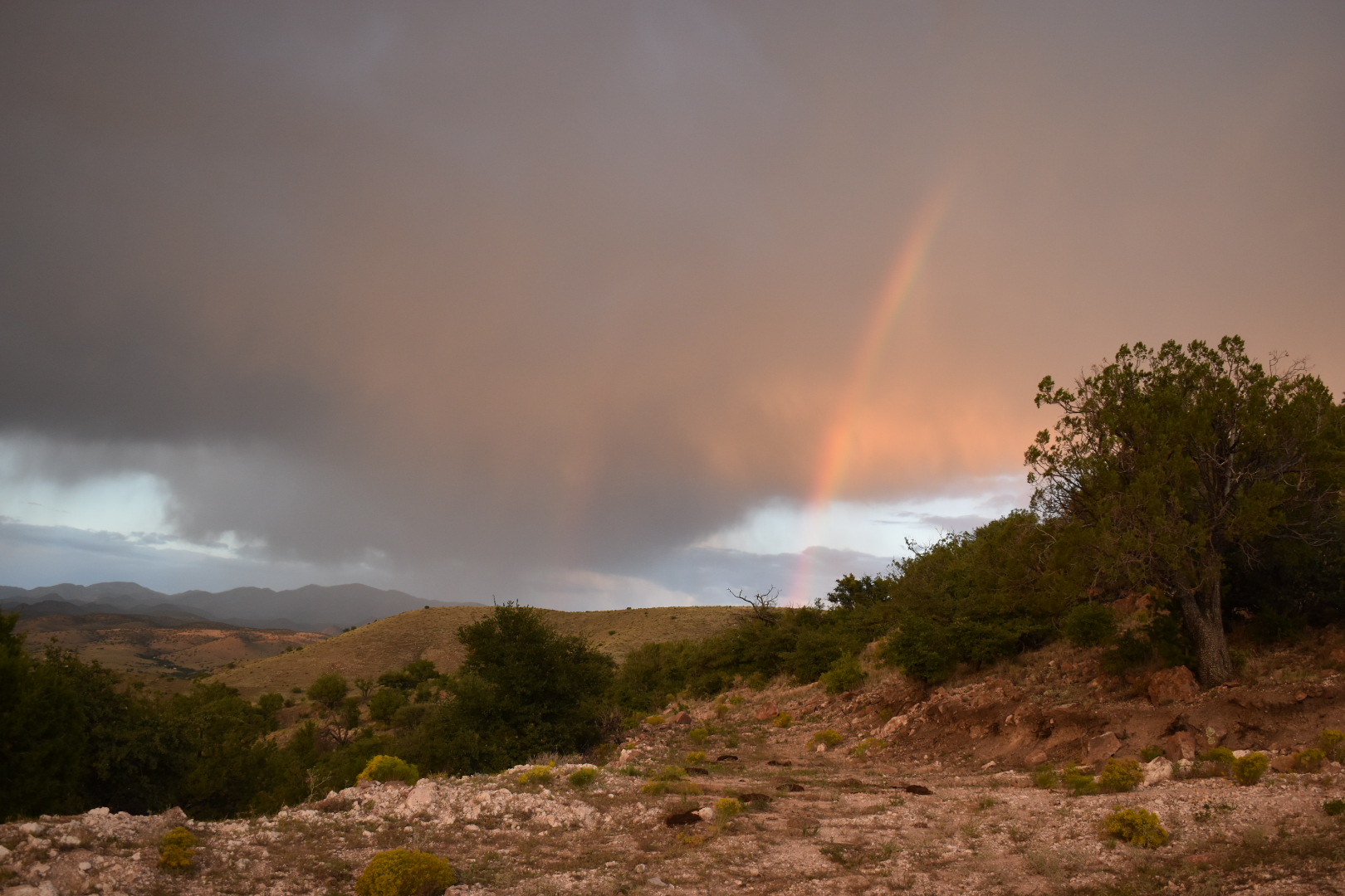 Mimbres River Farm and Ranch, property photo 22