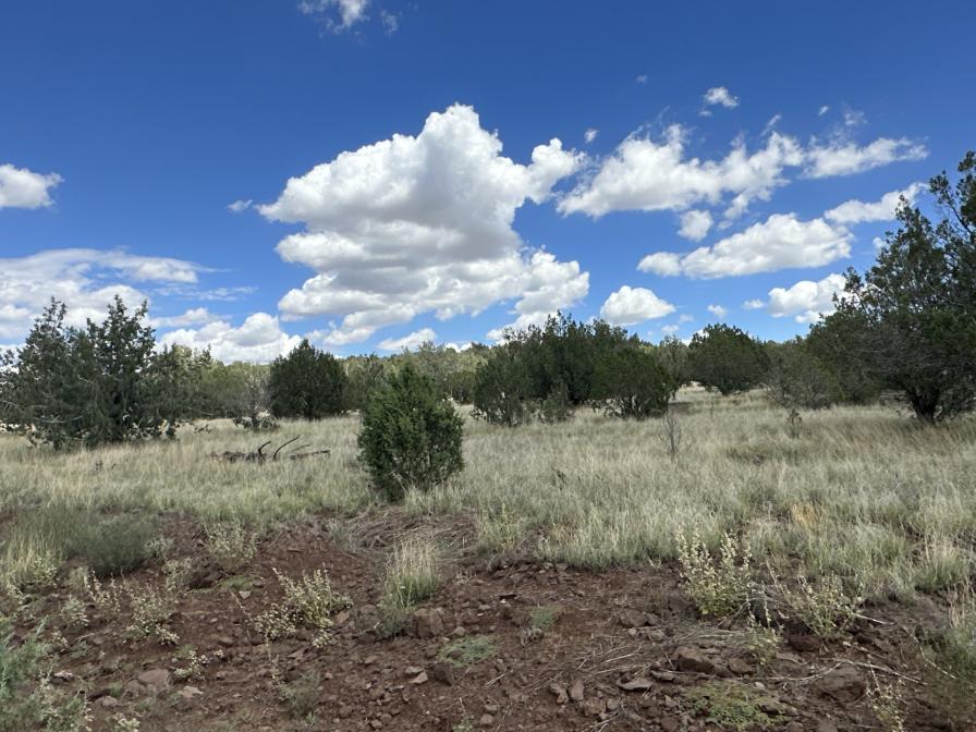 The Randall Ranch -SOLD, property photo 8