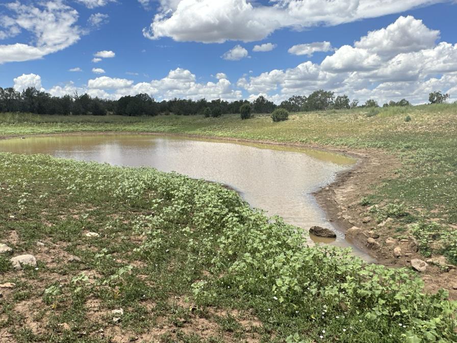 The Randall Ranch -SOLD, property photo 1