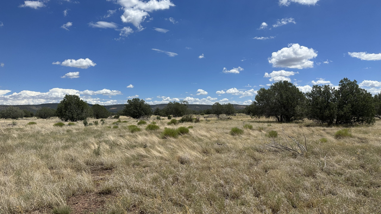 The Randall Ranch -SOLD, property photo 10