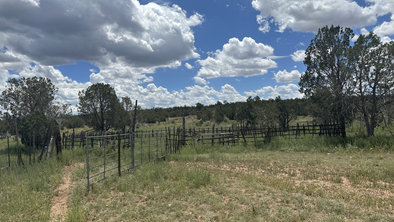 The Randall Ranch -SOLD, property photo 2