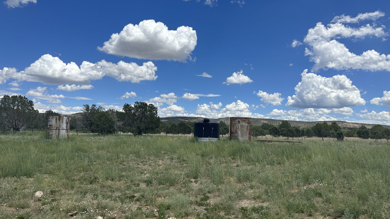 The Randall Ranch -SOLD, property photo 4