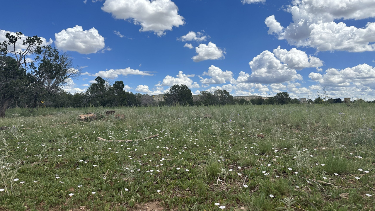 The Randall Ranch -SOLD, property photo 7
