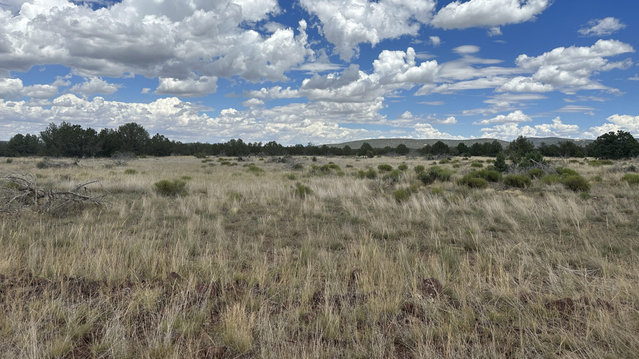 The Randall Ranch -SOLD, property photo 11