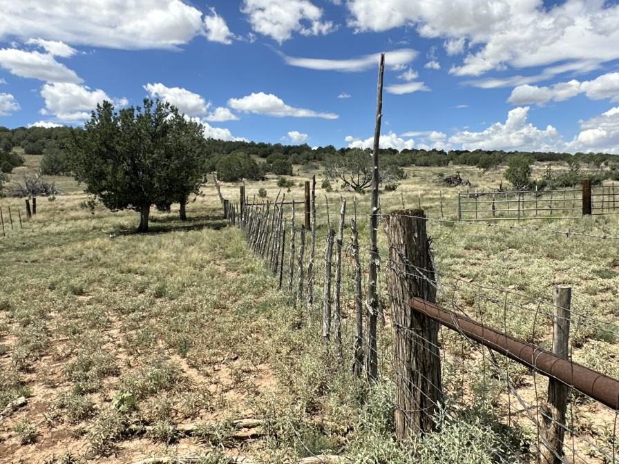 The Randall Ranch -SOLD, property photo 6