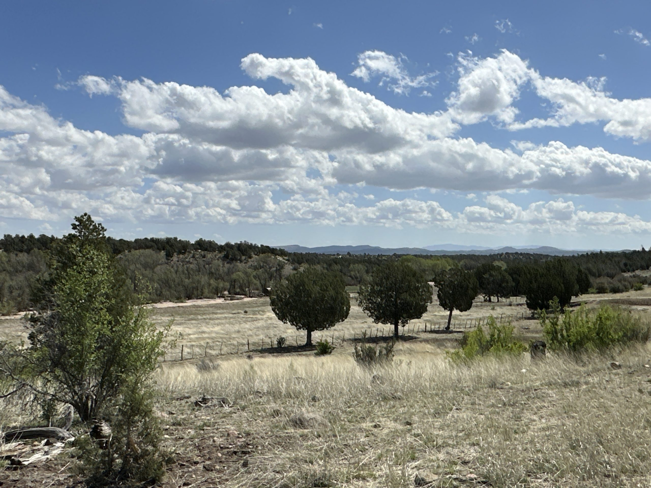 The RK Ranch – SOLD, property photo 5