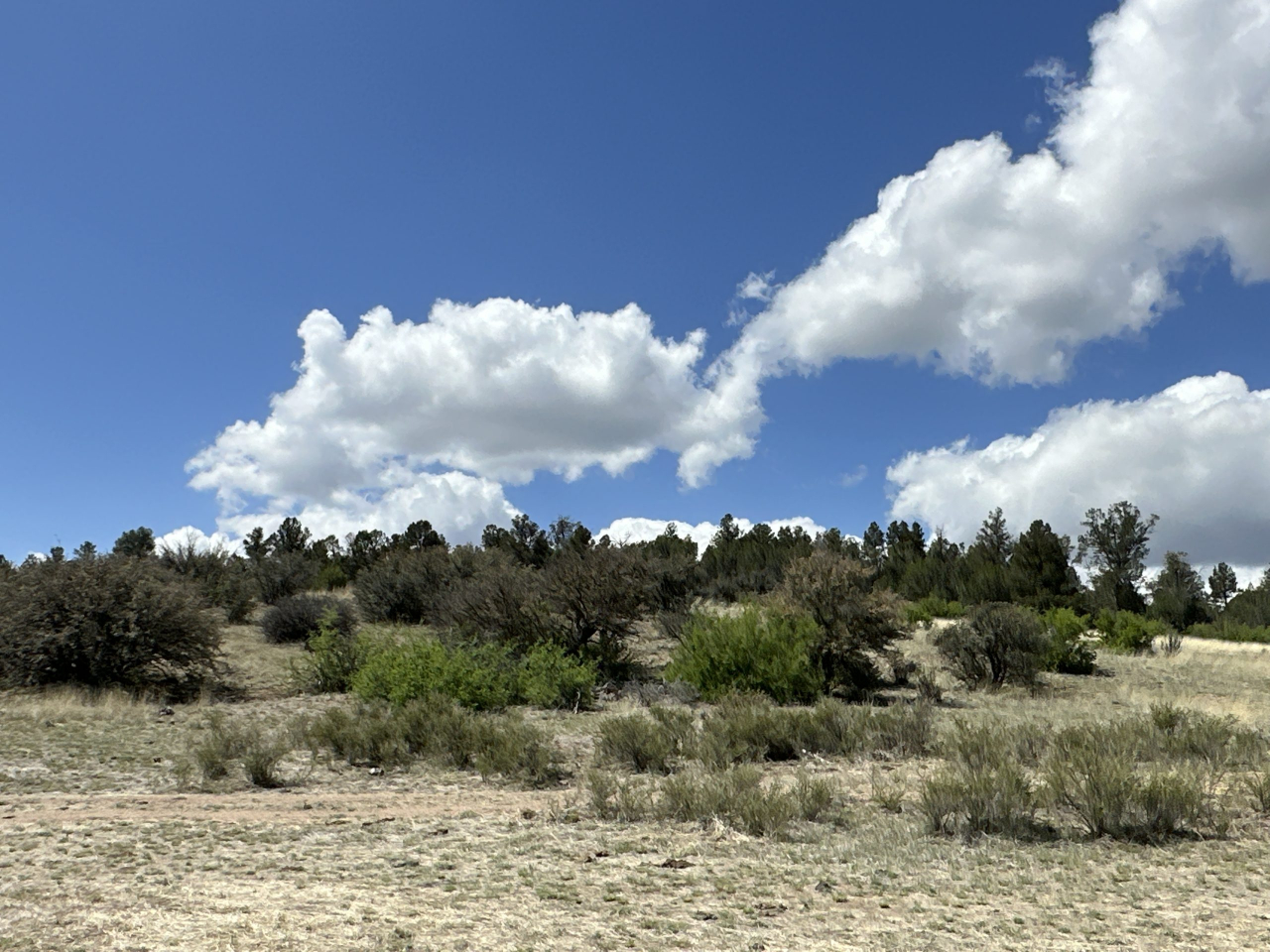 The RK Ranch – SOLD, property photo 9