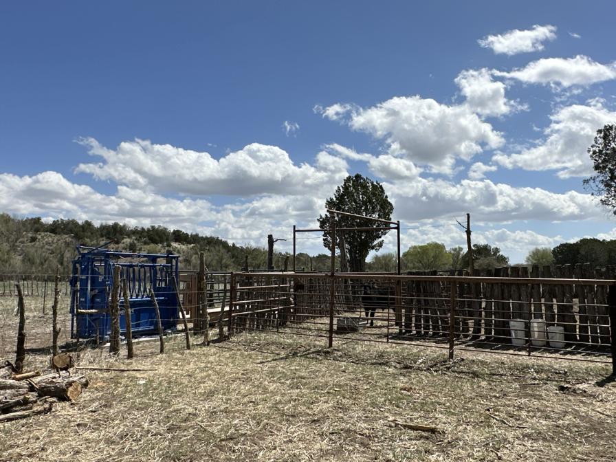 The RK Ranch – SOLD, property photo 3