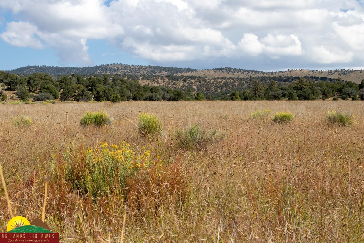 Triangle C Cattle Ranch – SOLD, property photo 12