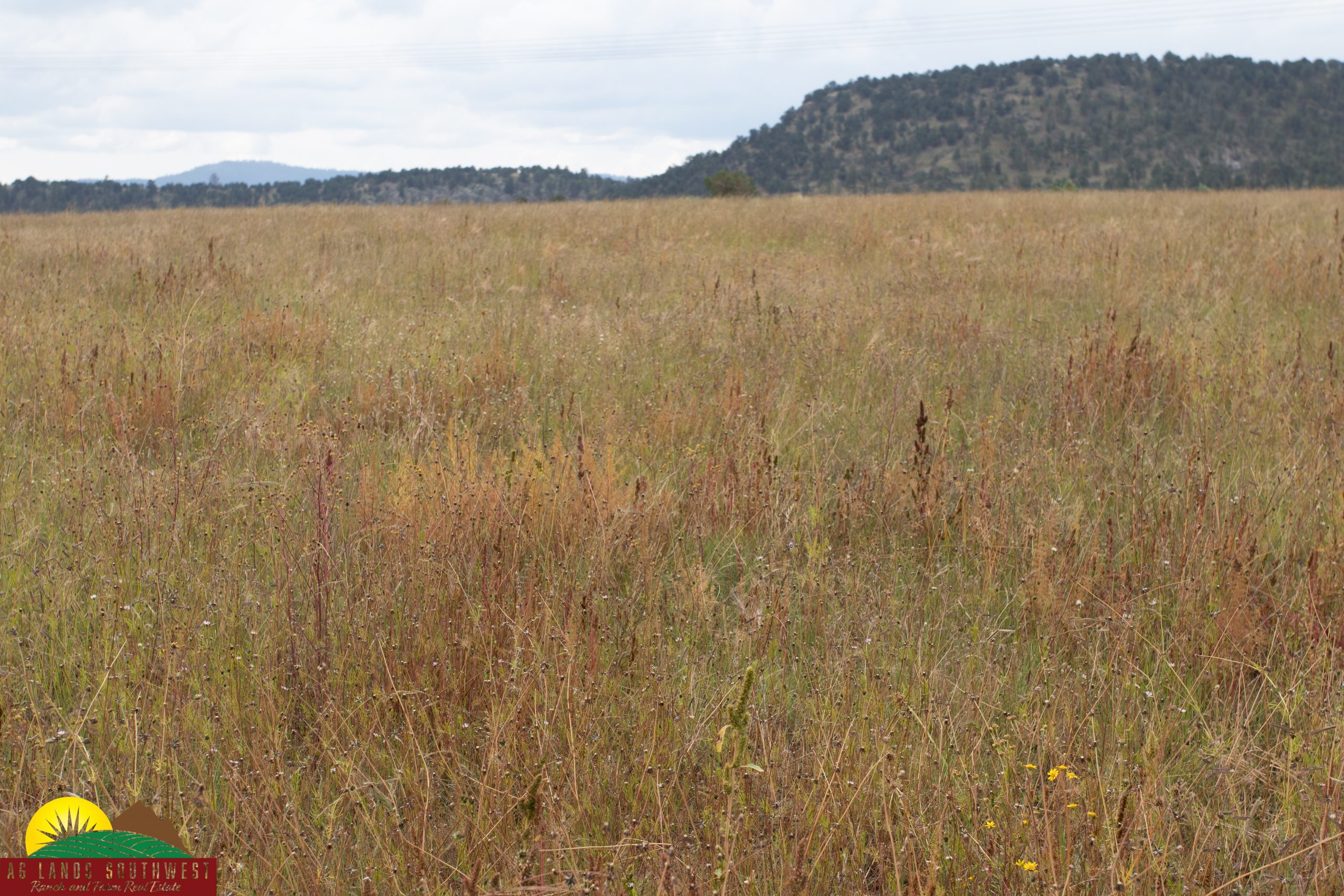 Triangle C Cattle Ranch – SOLD, property photo 9