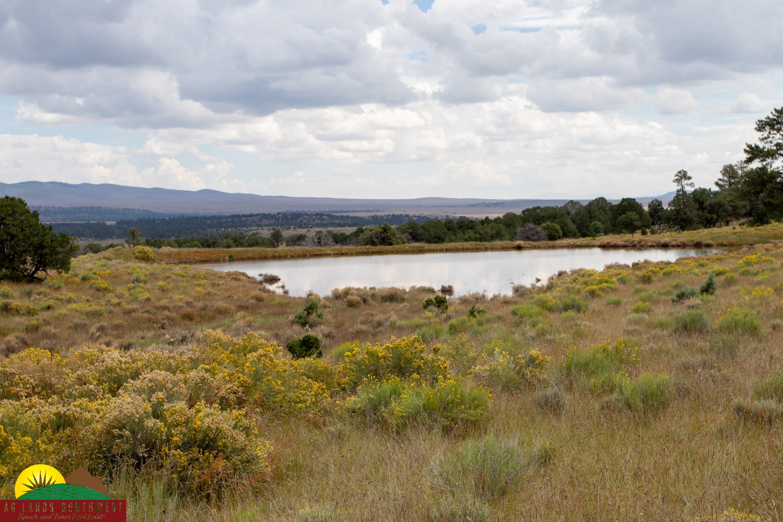 Triangle C Cattle Ranch – SOLD, property photo 7