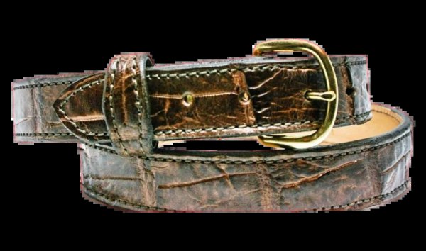 Alligator Belt, Real Florida Alligator 1",11/4 "and 1 1/2" from 30 to 50 inches