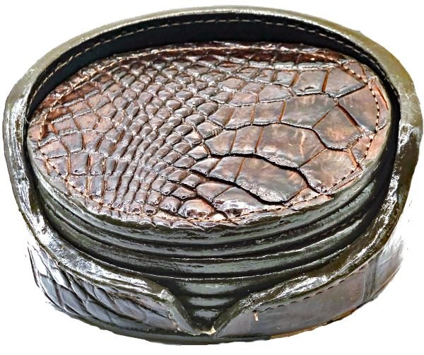 Coaster set Real Alligator with case