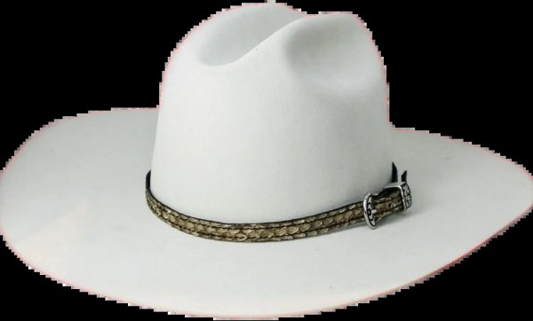 Genuine RATTLE SNAKE Hat Band Kangaroo lined, Silver buckle set