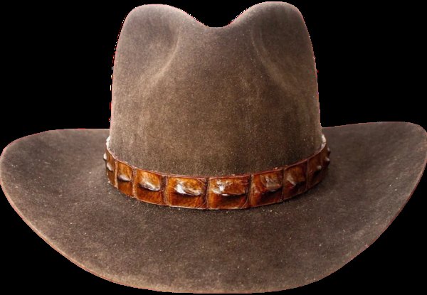 Hat Band Hornback Alligator in three colors
