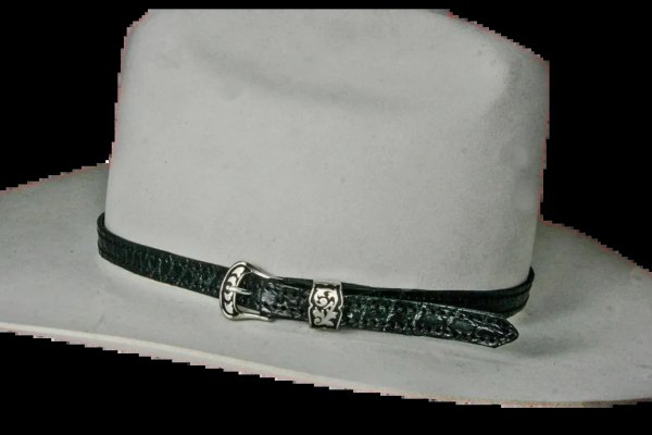 HAT BAND WESTERN COWBOY CUSTOM HANDMADE ALLIGATOR WITH SILVER COLOR BUCKEL SET