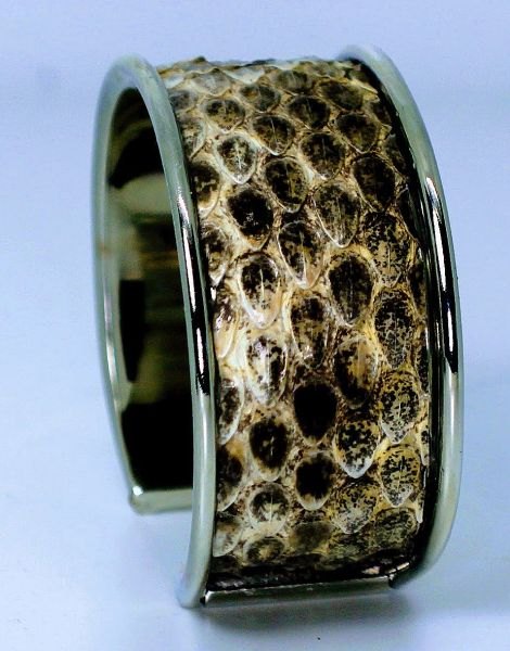 Rattlesnake Mens or Womans Bracelet or cuff 1 inch wide ( genuine Rattle Snake)