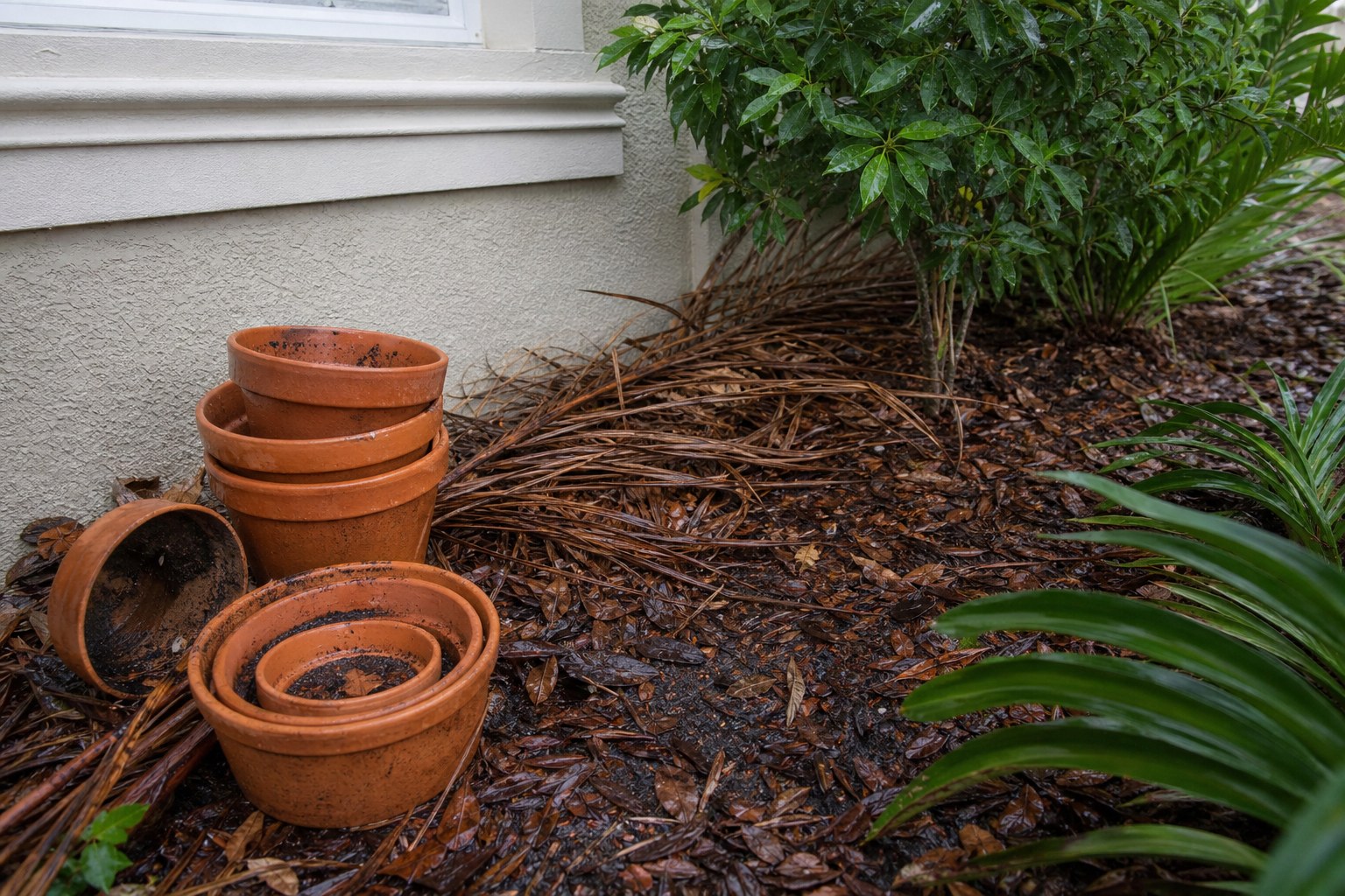 Damp leaf litter and stacked pots beside a Florida home foundation
