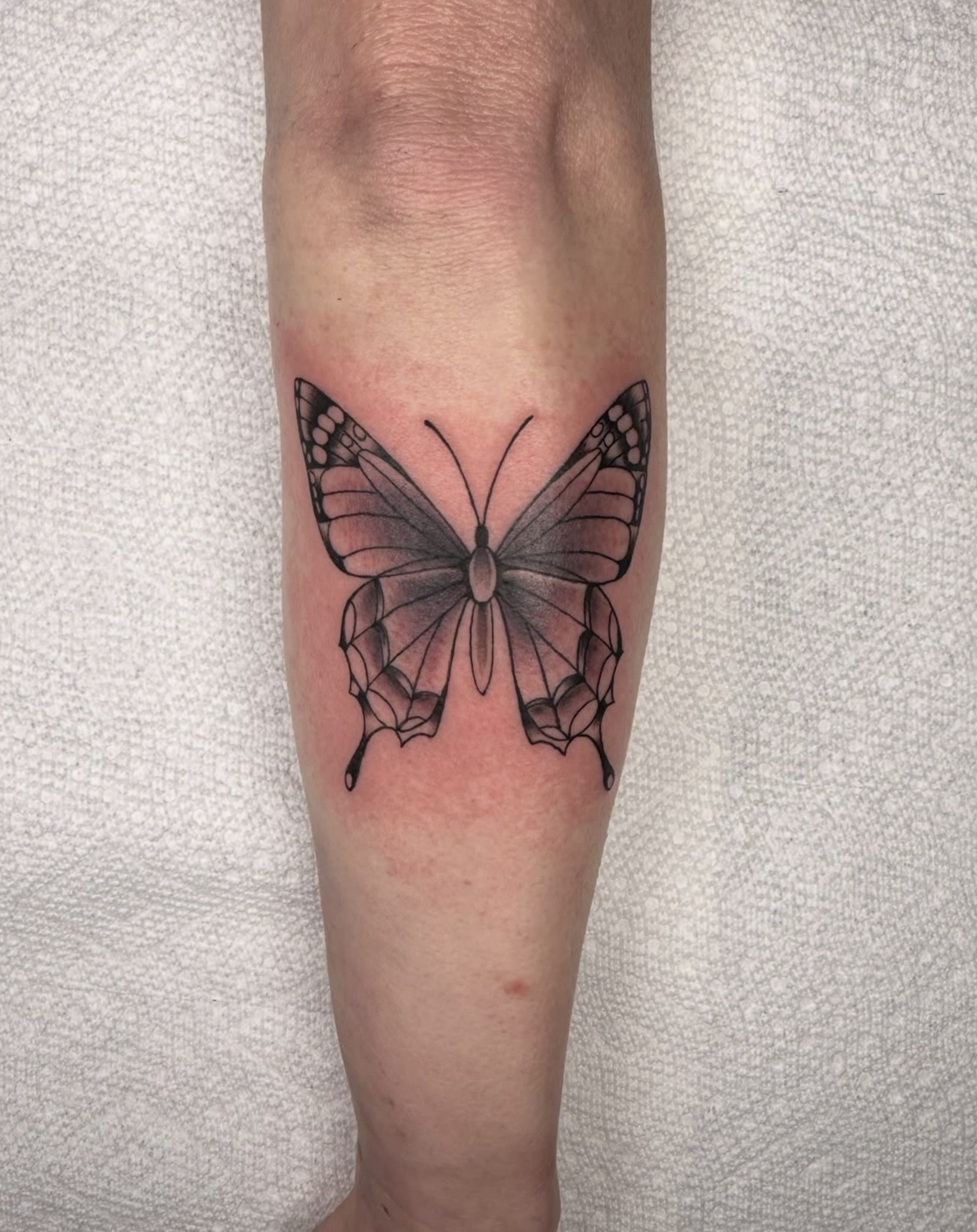 Black & Gray tattoo by Trent Stone, portfolio image 4