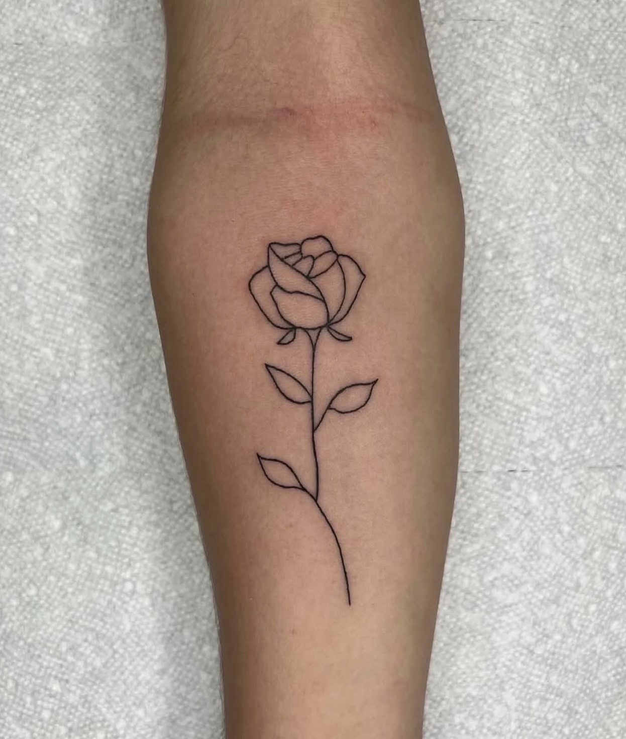 Fine Line tattoo by Trent Stone, portfolio image 4