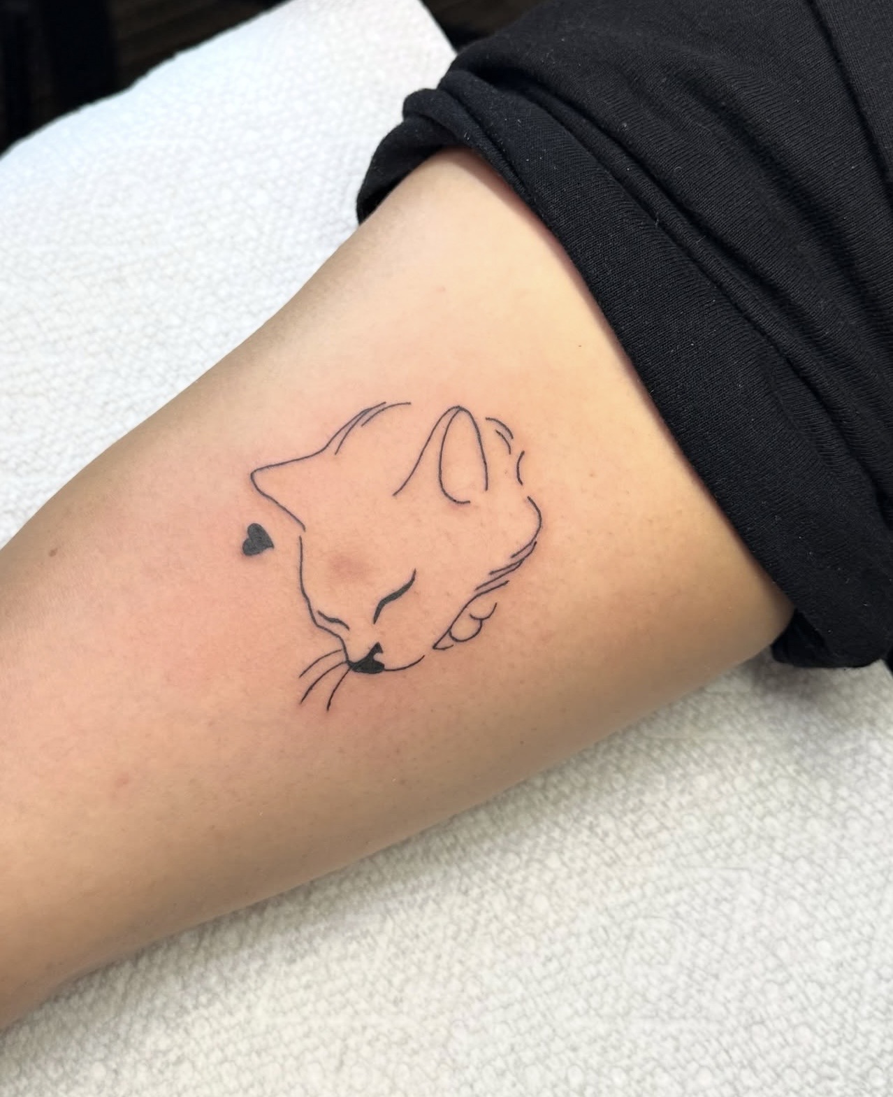 Fine Line tattoo by Trent Stone, portfolio image 6