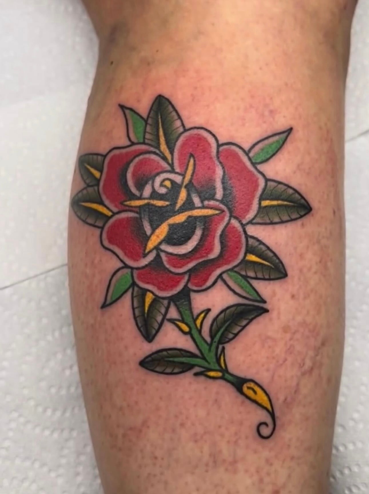 Traditional/Neo tattoo by Trent Stone, portfolio image 1