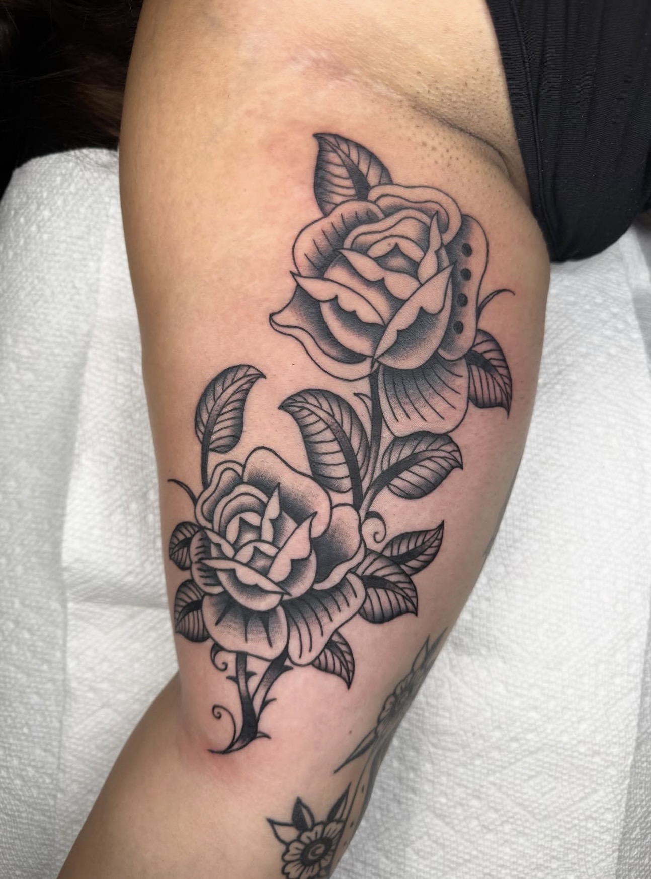 Traditional/Neo tattoo by Trent Stone, portfolio image 7