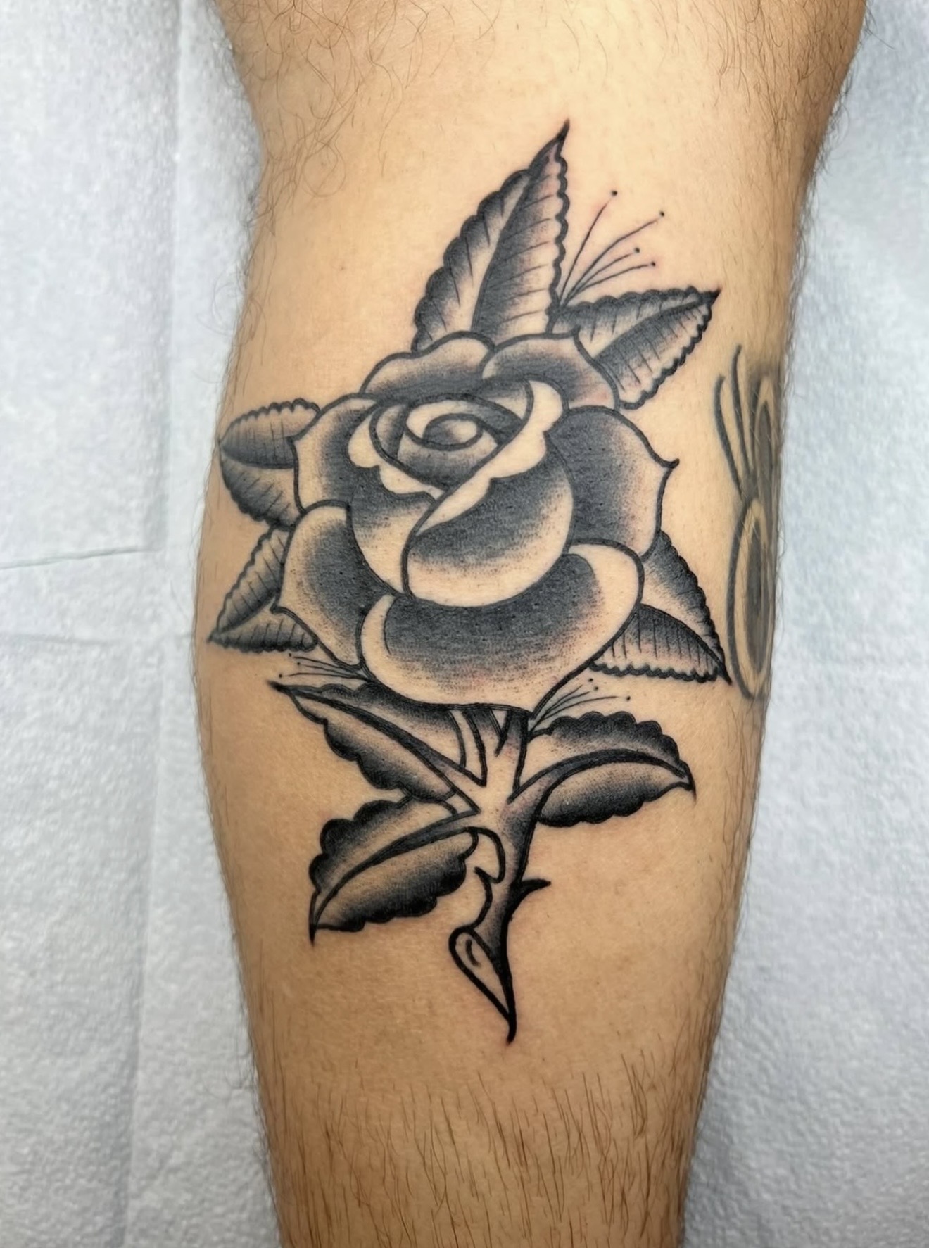 Traditional/Neo tattoo by Trent Stone, portfolio image 10