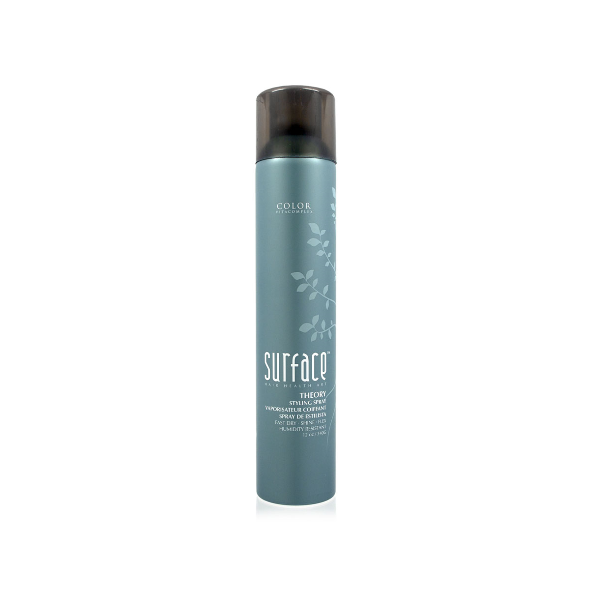 12oz Theory Finishing Spray