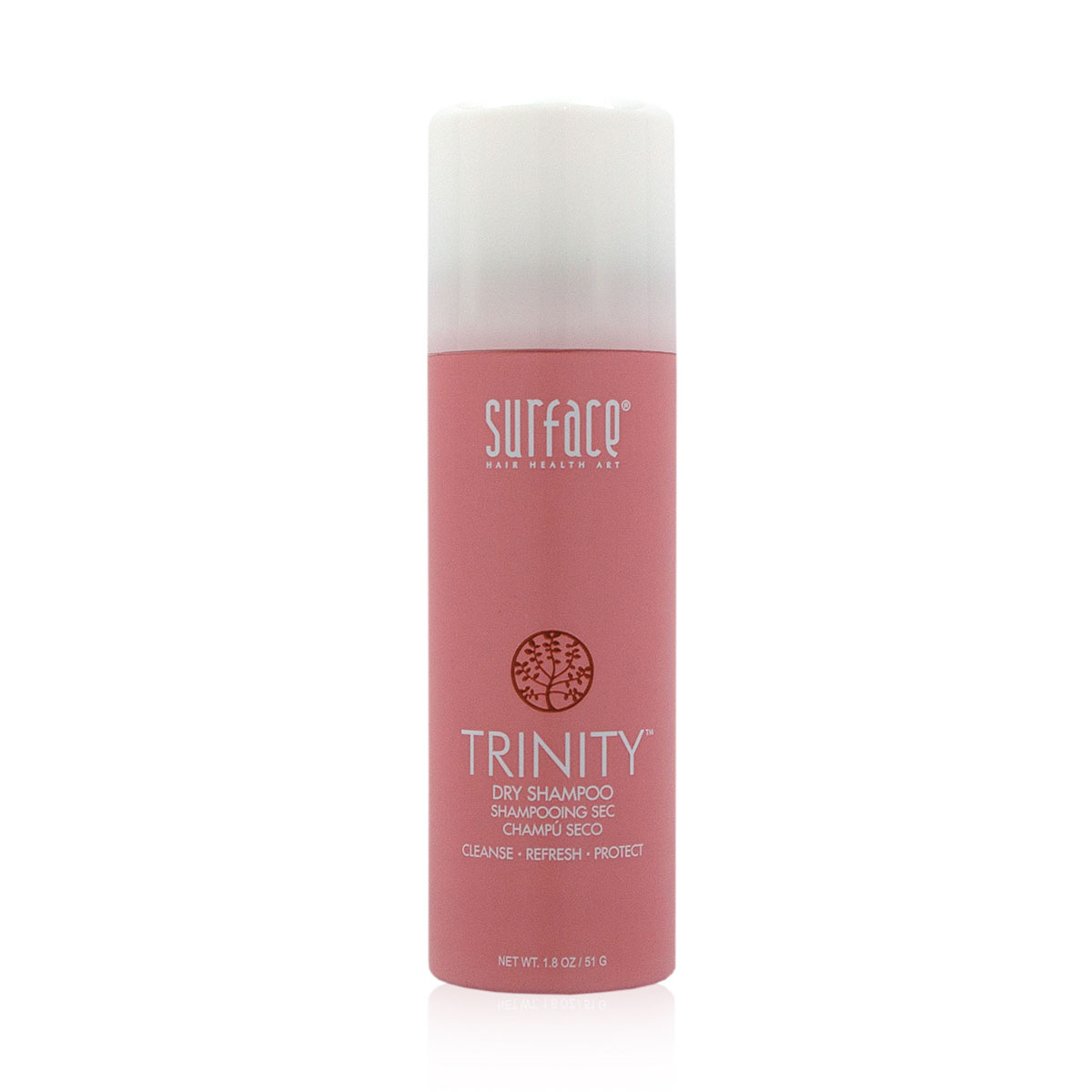 1.8oz Trinity Dry Shampoo