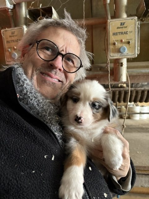 Person holding a puppy close