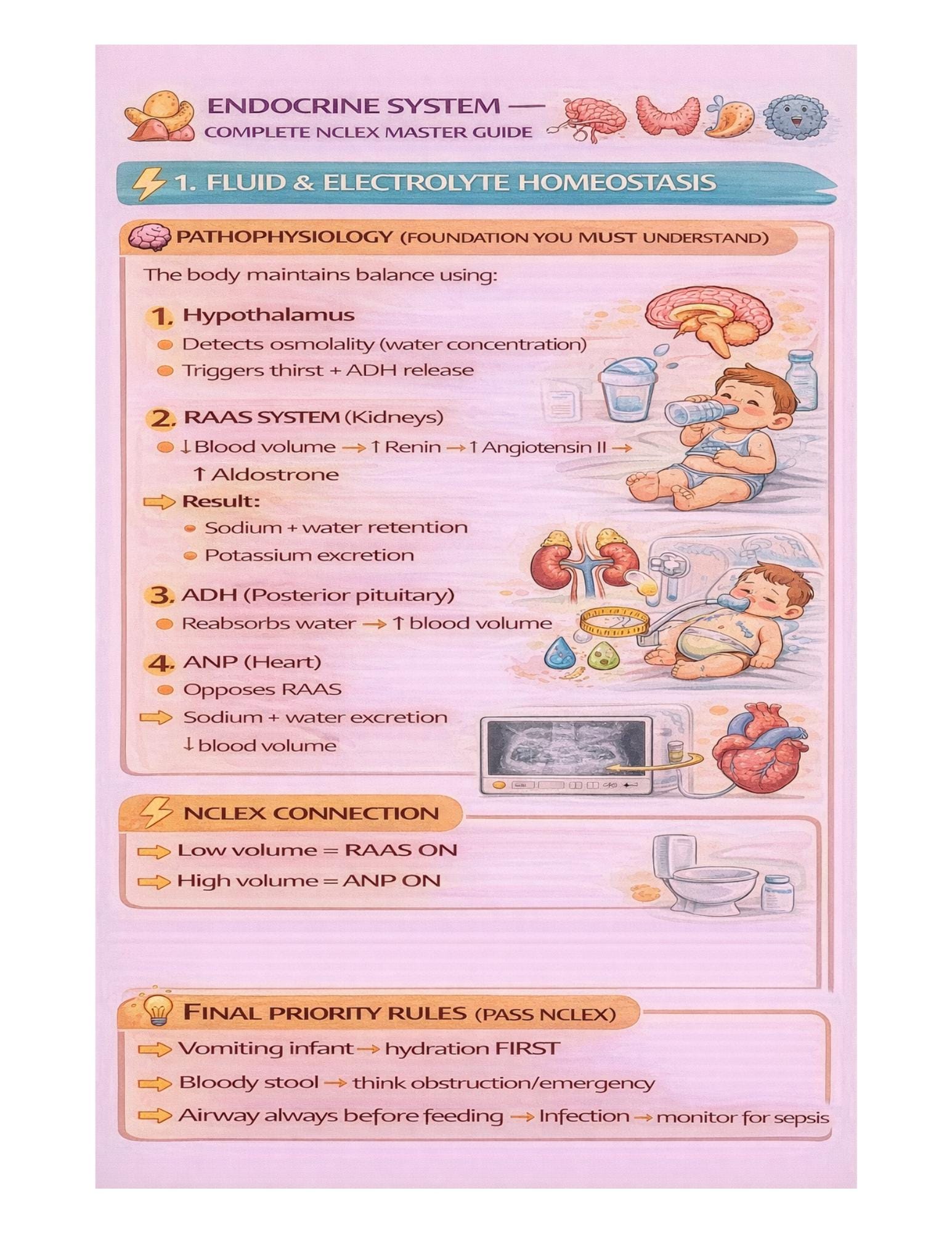 NCLEX endocrine study guide preview