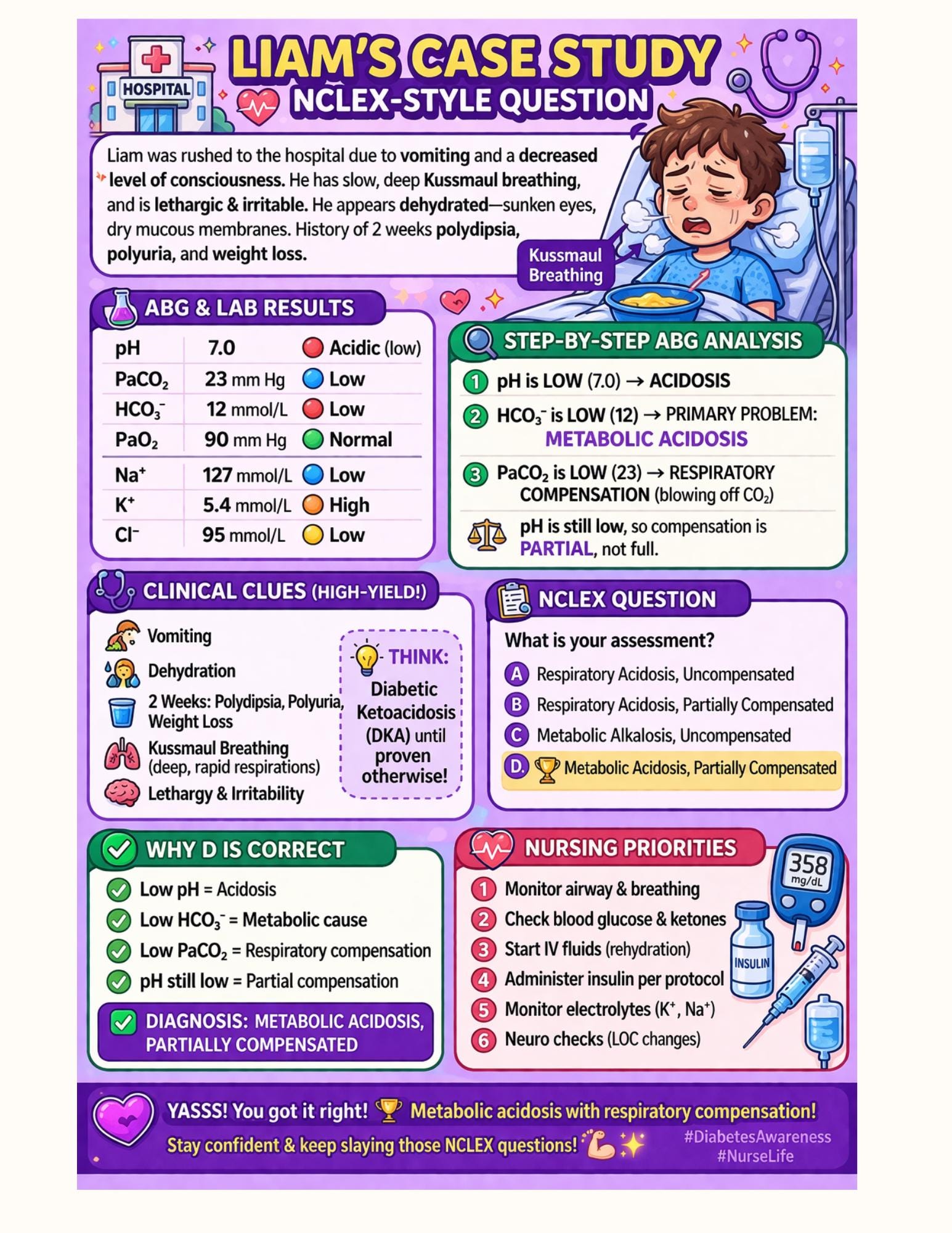 ABG Interpretation Guide – Medical Students, Nurses, NCLEX Prep, guide preview 2