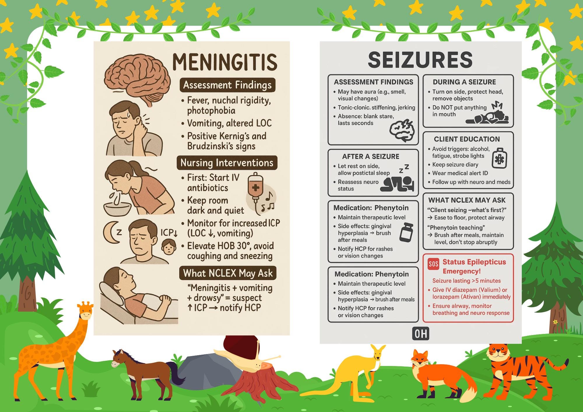 NCLEX Review Guide: Neuro Disorders, Seizure Disease, ALS Nursing Study, guide preview 4