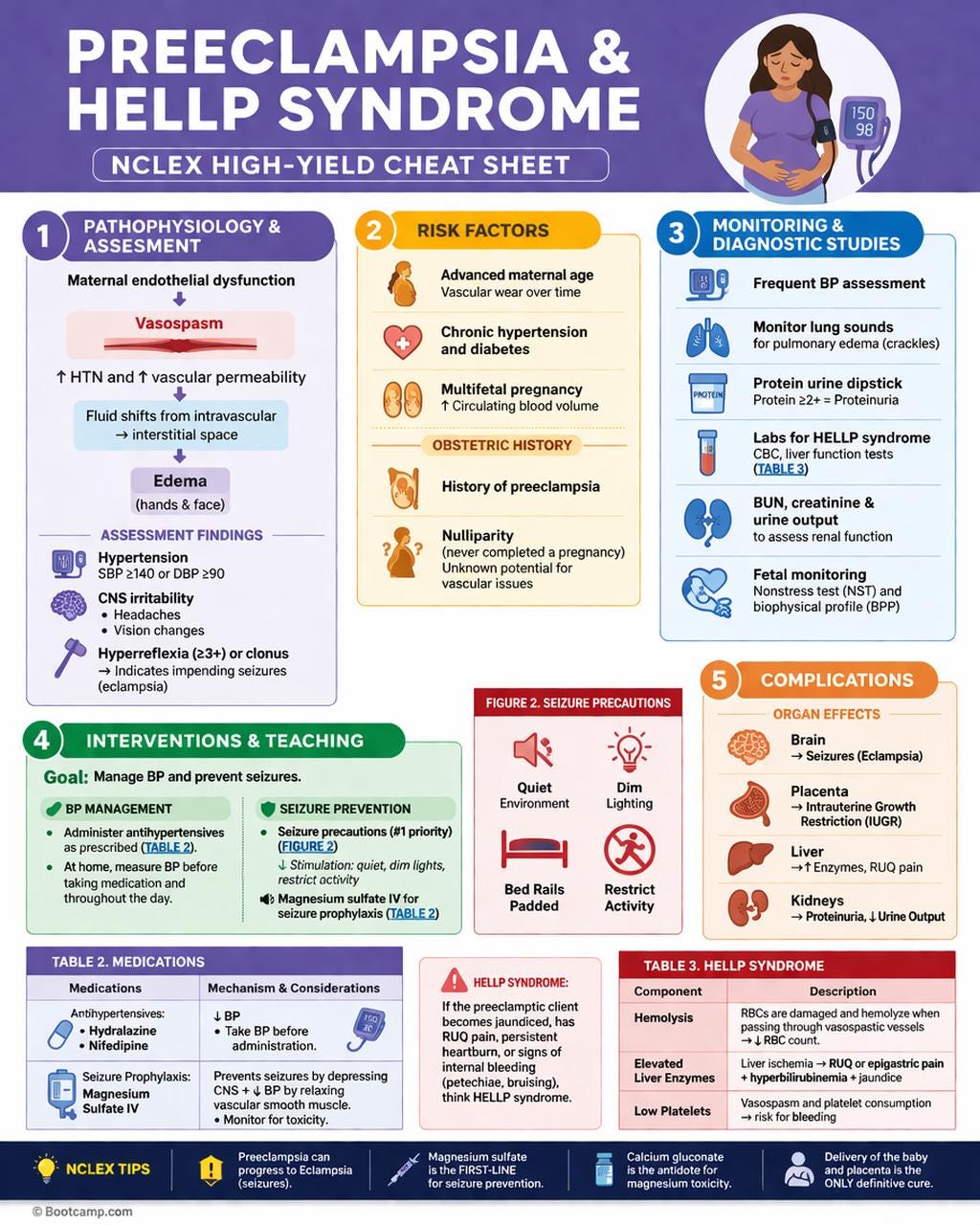 Maternity Nursing Cheat Sheets, NCLEX Study Guide, Labor & Delivery Notes (PDF Bundle) cover