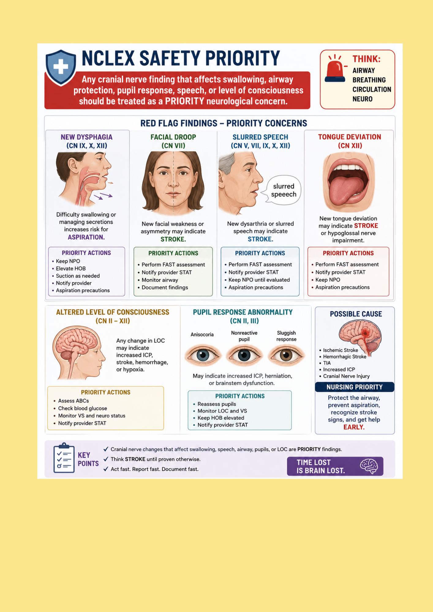 Cranial Nerves, NCLEX Practice Questions, Nursing Student Study Guide, Assessment, and Rationales. cover