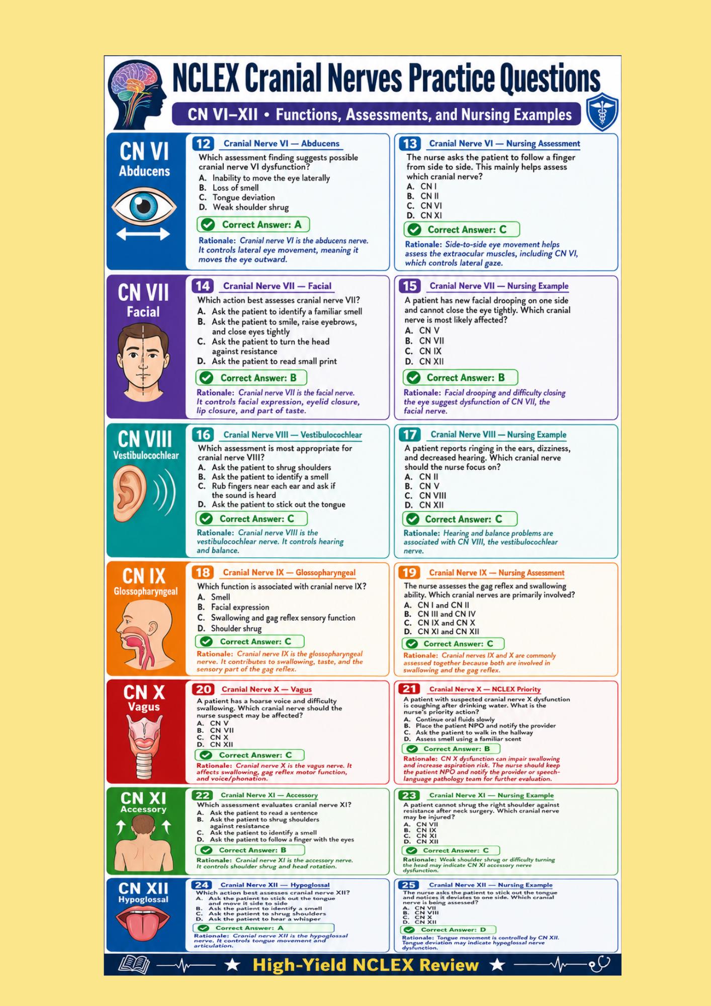 Cranial Nerves, NCLEX Practice Questions, Nursing Student Study Guide, Assessment, and Rationales., guide preview 2
